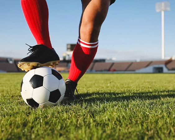 Program and What You Can Expect