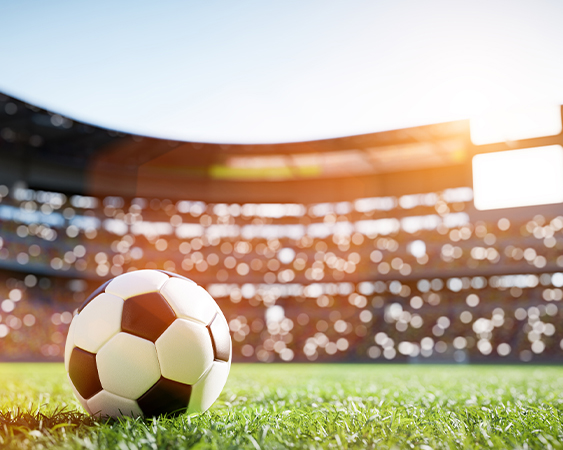 A Day in the Program